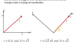 Invariance of scalars and vectors [upl. by Aissatsan272]