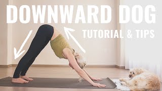 How to do Downward Dog  Downward Facing Dog Tutorial [upl. by Llednohs774]