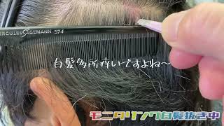 10年以上白髪を抜き続けている裏ボスが白髪抜きを語る⑤「白髪多いところが痒い」 [upl. by Rocray870]