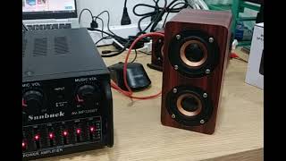 231031GVE  Sunbuck Bluetooth EQ Amplifier Karaoke FM 2000W  AVMP326BT  7RSK2MBK [upl. by Gayl114]