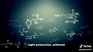 Evolution of Bioluminescence in Marine Organisms [upl. by Llertnor377]