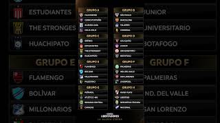 Los Grupos de la Copa Libertadores 2024 🏆🤩 [upl. by Aan544]