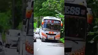 kerala oneness tourist bus [upl. by Mellen]