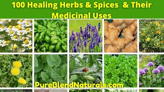 Top 100 Best Healing Medicinal Herbs Spices And Plants Names Health Benefits And Medicinal Uses [upl. by Youlton111]