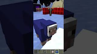 MINECRAFT Evokers Dark Fact☠️  minecraft viral trending [upl. by Knowland]