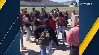 VIDEO 5 West Valley High School students arrested after fight breaks out on campus  ABC7 [upl. by Ecnerolf842]