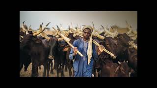 Fulfulde song compilation short [upl. by Jori]