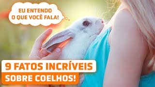 9 CURIOSIDADES INCRÍVEIS SOBRE COELHOS e suas características especiais [upl. by Anilad]