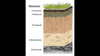 Weathering and Soil Formation [upl. by Ahsiruam]