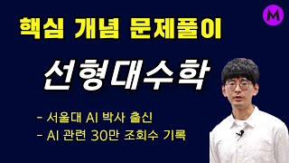 선형대수학 무료강의 예제문제  서울대 AI박사  행렬 덧셈곱셈내적독립종속Dot 연산 [upl. by Sylas]