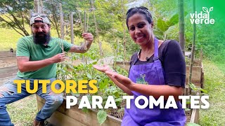 🔥ESTRENO🔥 Como hacer TUTORES DE TOMATES 🍅 [upl. by Ilatfen]