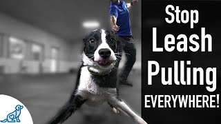 How To Teach Your Dog Not To Pull On The Leash EVER [upl. by Aielam]