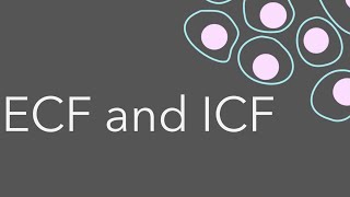 3 Intro to fluid compartments ECF and ICF [upl. by Hgielrebma889]