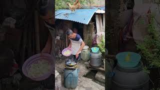 Brother Sanbei this egg is so fresh that it only takes two seconds to cook it [upl. by Enyrehtak]