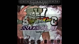 TEI SA KADRE  MAXVILLE DJ  X SNAKEBOEDJKvtMix22 [upl. by Razatlab]