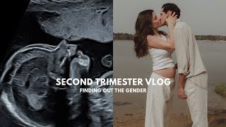 Mein Zweites Trimester  Symptome Babys Geschlecht Kinderwagen  Vlog [upl. by Ymmaj691]