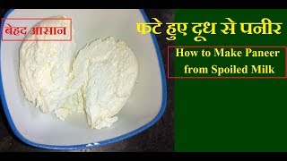 Fate Hue Dudh se Paneer Banana  How to Make Paneer from Spoiled Milk [upl. by Gladi318]