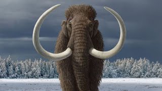 5 Extinct Animals That Scientists Will Bring Back To Life [upl. by Aharon]