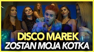 Disco Marek  ZOSTAŃ MOJĄ KOTKĄ TELEDYSK ft KRUSZWILKAMERZYSTAKAROLINAKUBAŃCZYK [upl. by Duane]