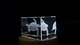 Hawksbill Sea Turtle Engraved Crystal Paperweight  Iconic Reef Dweller Replica FSAN  214 [upl. by Ynneb867]