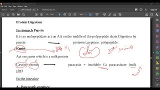 L66 Protein Digestion [upl. by Emeric]