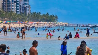 Praia De Boa Viagem Recife Pernambuco Janeiro 2023 [upl. by Margaret824]