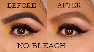 How to lighten your eyebrows at home  NO BLEACH [upl. by Lynnet821]