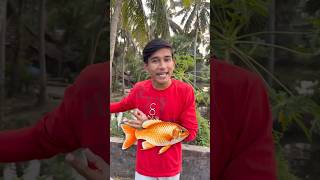 মাছ 🐟 চুরির VLOG 😂  minivlog banglavlog [upl. by Alolomo]