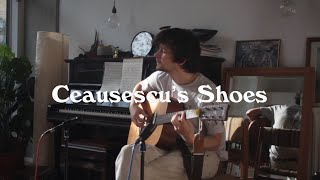 23  Ceausescus Shoes  The Last Whole Earth Catalog [upl. by Nayek]