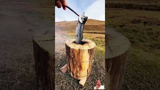 UNBELIEVABLE FISH Found Inside a TREE STUMP 🐟🌳 NatureShocks nature [upl. by Litha]