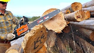 Testing The Cheapest Chainsaw On AMAZON [upl. by Doss]