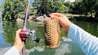 4 Hours of RAW and UNCUT Kayak Catfishing on Nickajack Reservoir [upl. by Apostles]