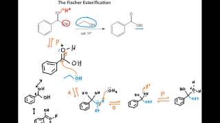 Fischer esterification [upl. by Carmella822]