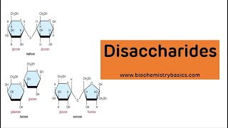 Disaccharides Classification And Biomedical Importance  Disaccharides Biochemistry [upl. by Jared663]