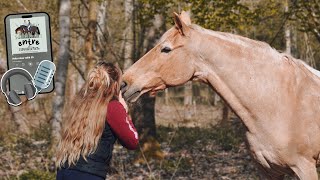 Des poneys en deuil et une cavalière dans langoisse ☹️ podcastentrecavalières [upl. by Juline]