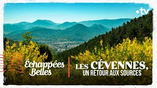 Les Cévennes un retour aux sources  Échappées belles [upl. by Nedle]