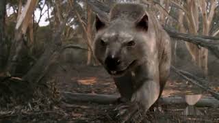 Death Of The Megabeasts Documentary  Australia The First Four Billion Years  Strange Creatures [upl. by Strader]