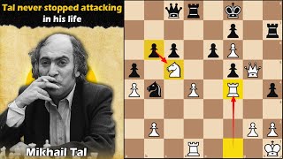 Tal never stopped attacking in his life  Tal vs Golombek 1958 [upl. by Atinuhs481]