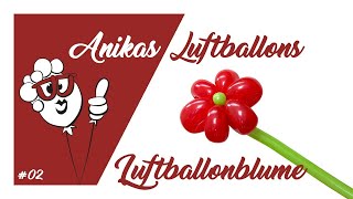 Tutorial 02 Luftballonblume Anikas LuftballonKunst So einfach geht´s [upl. by Johny448]