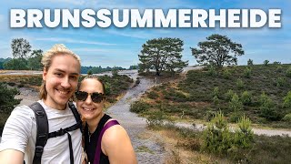 BRUNSUMMERHEIDE – so schön ist Wandern im Naturschutzgebiet im niederländischen Limburg [upl. by Nahgem]