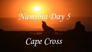 Namibia roadtrip day 5 Spitzkoppe campsite to Cape Cross lodge camping [upl. by Adiaros]