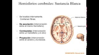 HEMISFERIOS CEREBRALES SISTEMA DE FIBRAS [upl. by Tena]