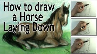 How to draw a horse laying down [upl. by Errot]