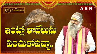 ఇంట్లో తాబేలును పెంచుకోవచ్చా  Pet Tortoise at Home  Tabelu  ABN Devotonal [upl. by Naugan]