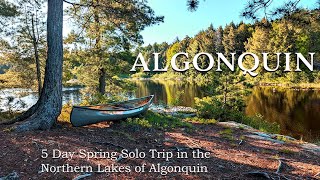 Spring Adventure 5 Days Solo Canoeing the Remote Northern Lakes of Algonquin Park [upl. by Kristina]