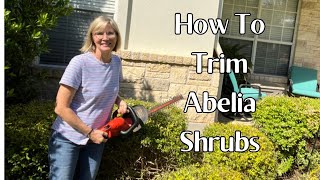 Trimming Abelia Shrubs [upl. by Neltiac]