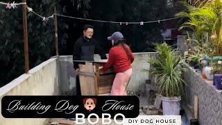 Building Dog 🐶 House  Low cost 💰 DIY Bobo house [upl. by Magda]