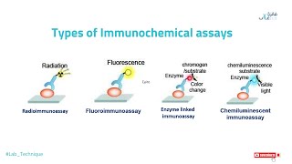 Types of Immunochemical Assays [upl. by Nahta]