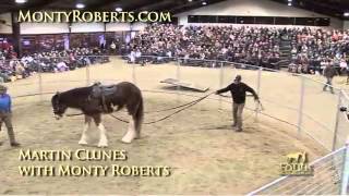 Martin Clunes and Monty Roberts JoinUp [upl. by Yasmin]