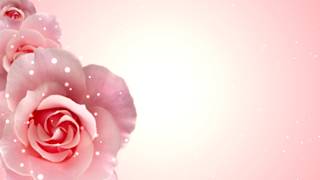 Roses Motion Background Free HD [upl. by Eigriv]